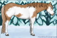 Horse Color:Chestnut Splash Frame 