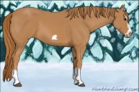 Horse Color:Chestnut Splash Frame 