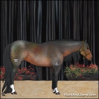 Horse Color:Brown 