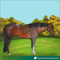 Horse Color:Brown Mushroom 
