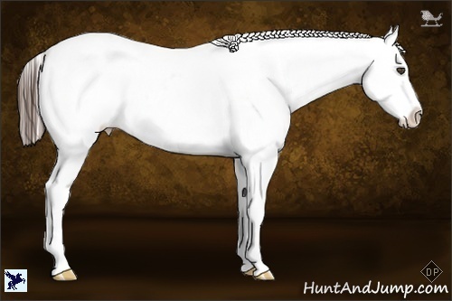 Horse Color:Liver Chestnut Snowflake Varnish