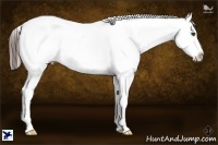 Horse Color:Liver Chestnut Snowflake Varnish 