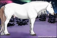 Horse Color:Bay Roan Dun Appaloosa Rabicano 
