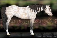Horse Color:Bay Ice Roan Dun 