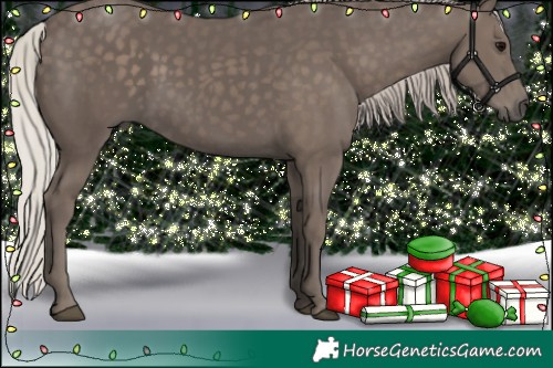 Horse Color:Silver Black 