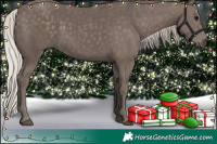 Horse Color:Silver Black 