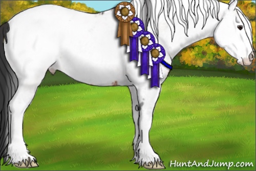 Horse Color:White Spotted Brown Near Fewspot 