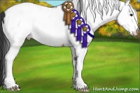 Horse Color:White Spotted Brown Appaloosa 