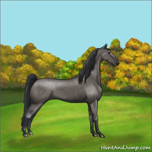 Horse Color:Grullo Brindle 