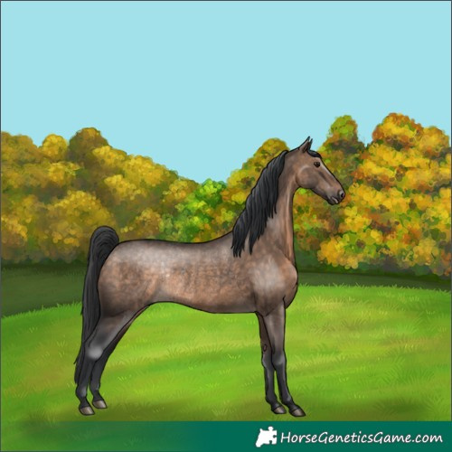 Horse Color:Brown Dun Rabicano 