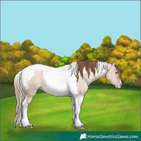 Horse Color:Brown Pearl Dun Mushroom Tobiano 