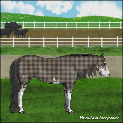 Horse Color:Plaid Black Sabino