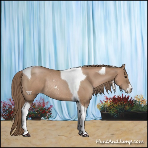 Horse Color:Black Pearl Sabino Tobiano Rabicano 