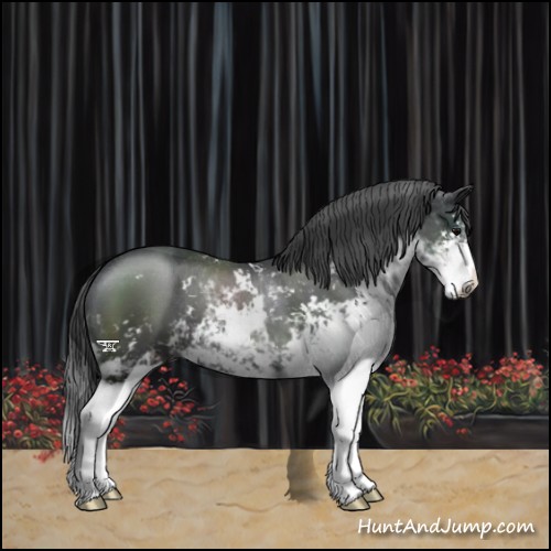 Horse Color:Black Sabino