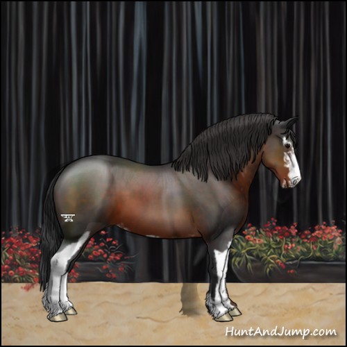 Horse Color:Brown Sabino