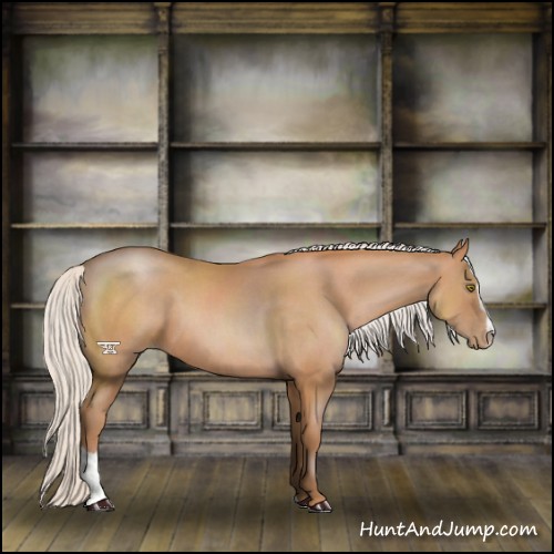 Horse Color:Silver Brown Pearl Sabino