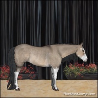 Horse Color:Brown Dun Sabino Rabicano