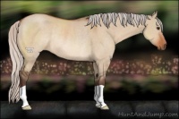 Horse Color:Silver Bay Dun Rabicano 