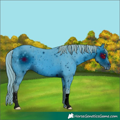 Horse Color:ERROR: UNKNOWN ANOMALY