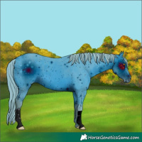 Horse Color:ERROR: UNKNOWN ANOMALY
