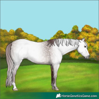 Horse Color:Gray Chocolate Brown Dun 