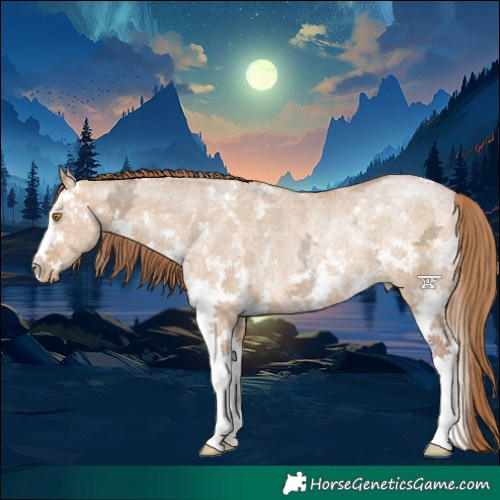 Horse Color:Brown Ice Pearl Dun Sabino Rabicano