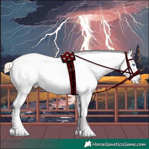 Horse Color:White Spotted Buckskin Pearl Splash Tobiano 