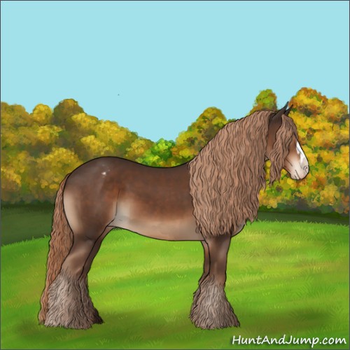 Horse Color:Liver Chestnut Appaloosa 
