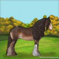 Horse Color:Liver Chestnut Varnish 