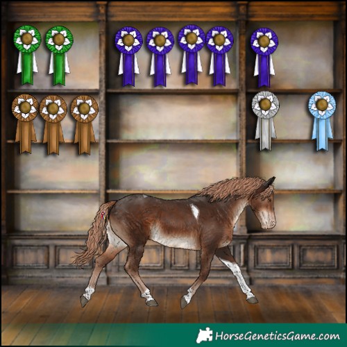 Horse Color:Liver Chestnut Tobiano Varnish 
