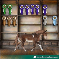 Horse Color:Liver Chestnut Tobiano Varnish