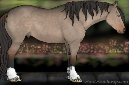Horse Color:Liver Red Dun
