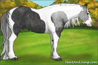 Horse Color:Blue Roan Splash Tobiano  Brindle