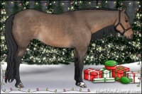 Horse Color:Brown Dun Rabicano 