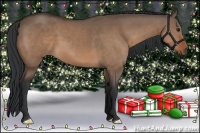 Horse Color:Brown Dun 