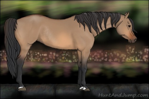 Horse Color:Unknown 