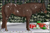 Horse Color:White Spotted Liver Chestnut 