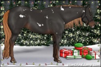 Horse Color:White Spotted Liver Chestnut 