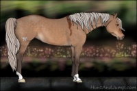 Horse Color:Silver Brown Dun 