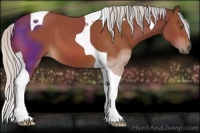 Horse Color:Silver Bay Tobiano 