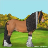 Horse Color:Bay Tobiano 