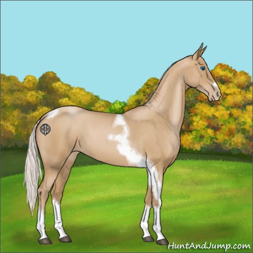 Horse Color:Silver Blue Roan Pearl Tobiano Frame