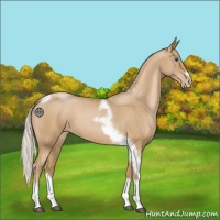 Horse Color:Silver Blue Roan Pearl Tobiano Frame 