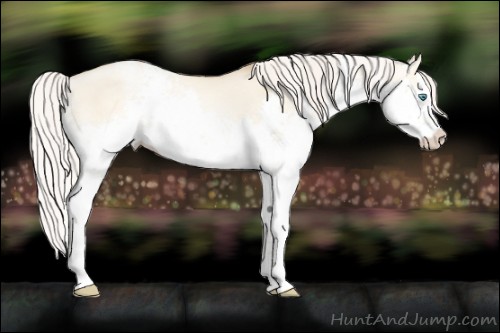 Horse Color:White Spotted Silver Classic Cream Champagne Pearl Dun Splash 