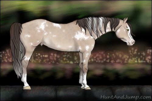 Horse Color:White Spotted Classic Champagne Dun Splash 