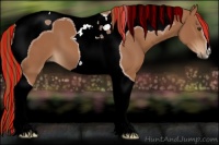 Horse Color:Painted Chestnut Tobiano 