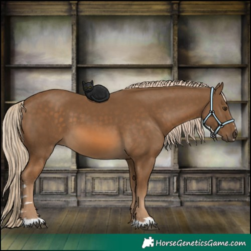 Horse Color:Chocolate Palomino 
