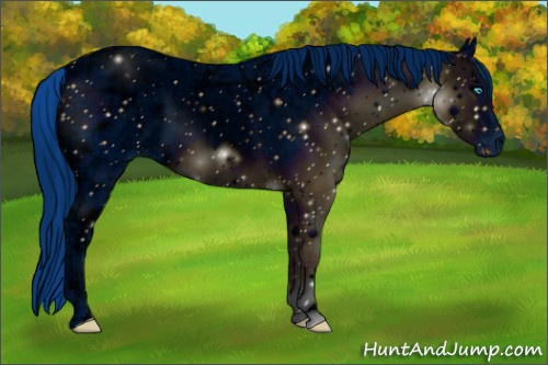 Horse Color:ERROR: UNKNOWN ANOMALY