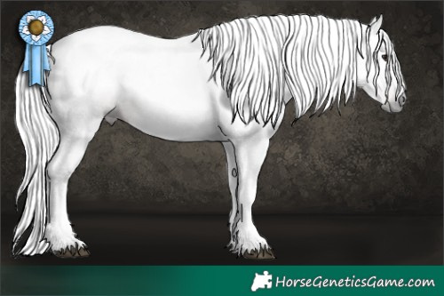 Horse Color:Gray White Spotted Silver Bay Varnish 