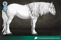Horse Color:Gray White Spotted Silver Bay Varnish 